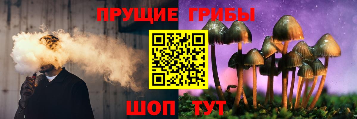 Галлюциногенные грибы Psilocybine cubensis  Вход с VPN  Алексеевка 
